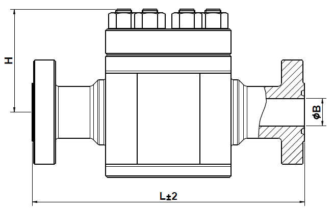 reinwellhead_check_valves_2.png